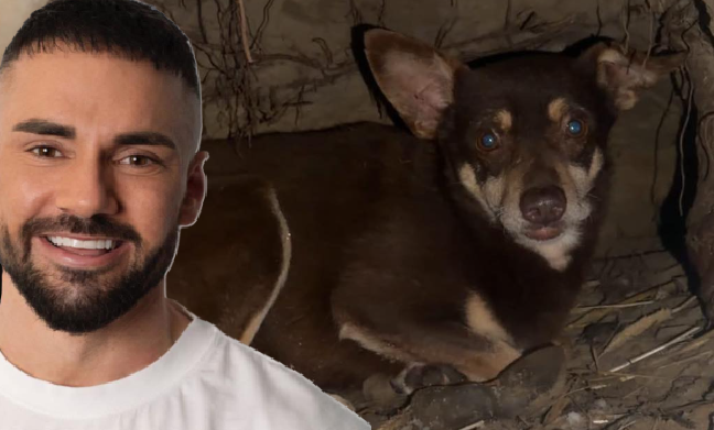 Schronisko w Sobolewie. Poseł Litewka miażdży wicewojewodę mazowieckiego! Fot.: FB/Poseł Łukasz Litewka nie zostawił suchej nitki na wicewojewodzie. „Jak pan mógł podać rękę katowi?” - pyta retorycznie